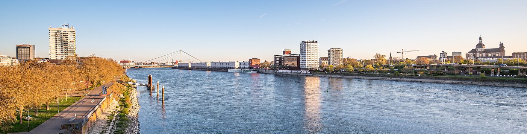 Der Rhein im Abendlicht mit dem Ufer von Ludwigshafen und Mannheim