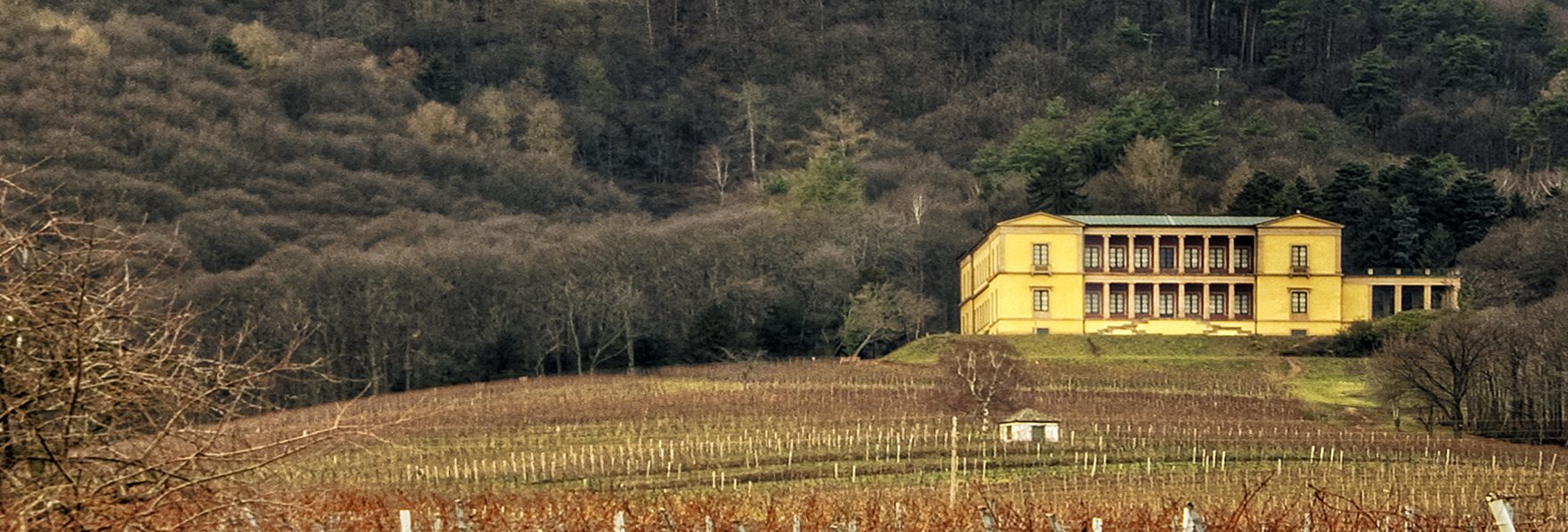 Die Villa Ludwigshöhe bei Edenkoben über den Weinbergen, dahinter der Wald der Haardt